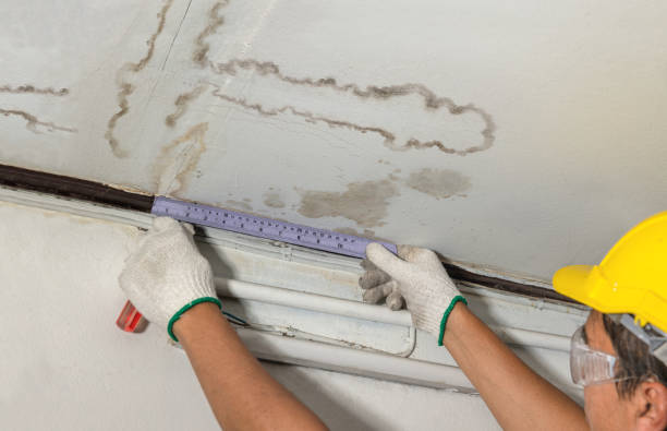 Reliable Structural Drying contractor in Glen Ferris, WV by Water Damage Irwin